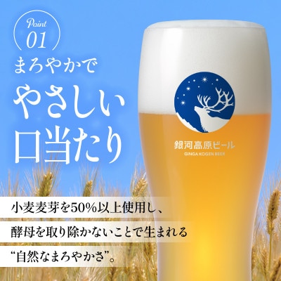 【毎月定期便】銀河高原ビール 350ml × 48缶全6回