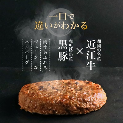 千成亭 近江牛と黒豚のハンバーグ 150g×6個 ソース付き