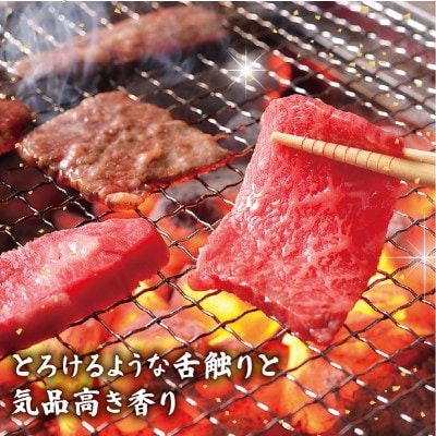 千成亭 近江牛焼肉用三角バラ 600g 希少な未経産牝牛から、牛肉高級部位の三角バラをお届け