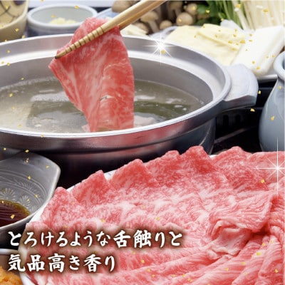 千成亭 近江牛しゃぶしゃぶ用肩ロース 600g 高級部位の牛肉肩ロースを贅沢に堪能