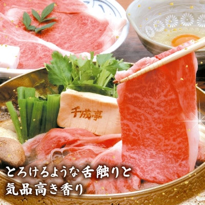 千成亭 近江牛すき焼き用特選ロース600g 黒毛和牛の赤身と霜降りの絶妙なバランス