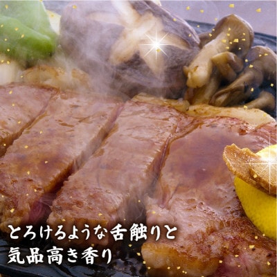 千成亭 近江牛ステーキセット ( サーロイン 180g×2枚 ・ ヒレ 150g×2枚 ) ソース付