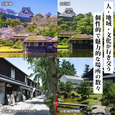 彦根市 後から選べる旅行Webカタログで使える! 旅行クーポン(90,000円分)