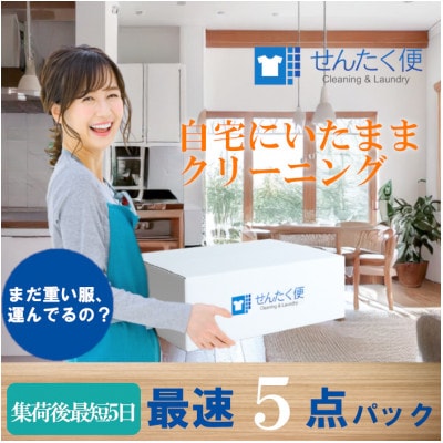 せんたく便 最速5点パック 宅配クリーニングサービス