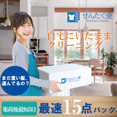 せんたく便 最速15点パック 宅配クリーニングサービス