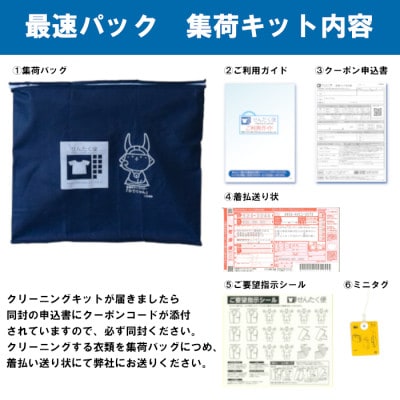 せんたく便 最速15点パック 宅配クリーニングサービス