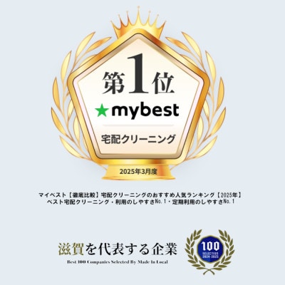 せんたく便 最速15点パック 宅配クリーニングサービス