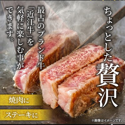 【さとふる限定】近江牛 サーロインステーキ 200g×4枚 【黒毛和牛の頂点、日本三大和牛】