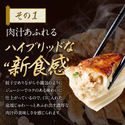 マスコミでも紹介!近江牛使用プレミアム餃子 牛とんぽう 20個 【包王Paou】