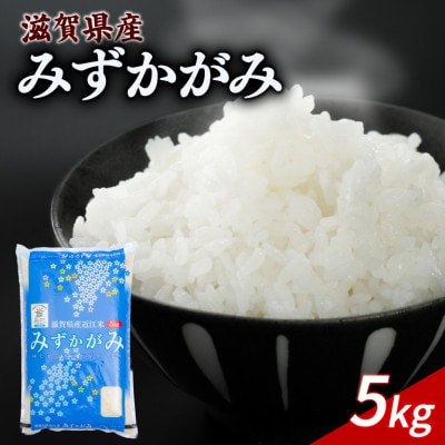 令和7年産 みずかがみ 5kg 【滋賀でとれたお米、近江米!】
