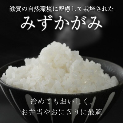 令和7年産 みずかがみ 5kg 【滋賀でとれたお米、近江米!】