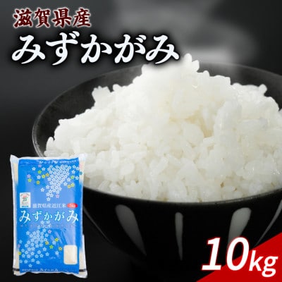 令和7年産 みずかがみ 10kg 【滋賀でとれたお米、近江米!】