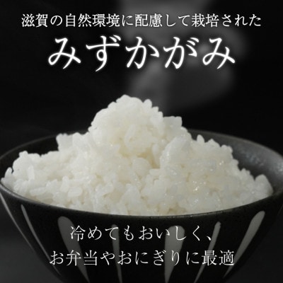 令和7年産 みずかがみ 10kg 【滋賀でとれたお米、近江米!】