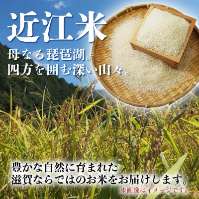 令和7年産 こしひかり 5kg 【滋賀でとれたお米、近江米!】