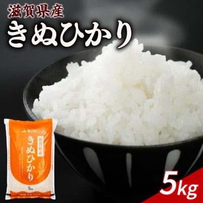 令和7年産 きぬひかり 5kg 【滋賀でとれたお米、近江米!】