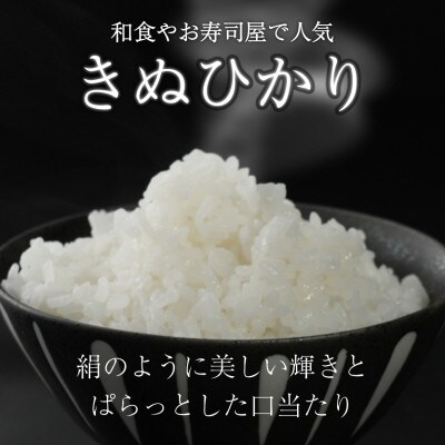 令和7年産 きぬひかり 5kg 【滋賀でとれたお米、近江米!】
