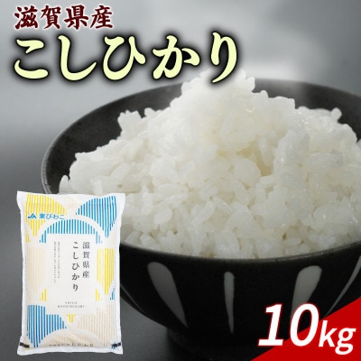 令和7年産 こしひかり 10kg 【滋賀でとれたお米、近江米!】