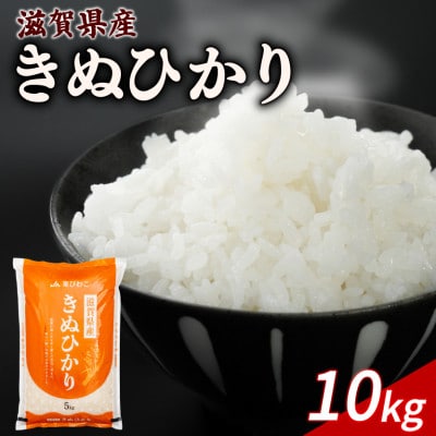 令和7年産 きぬひかり 10kg 【滋賀でとれたお米、近江米!】