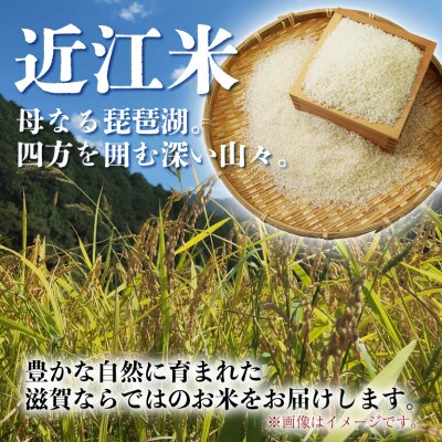 令和7年産 きぬひかり 10kg 【滋賀でとれたお米、近江米!】