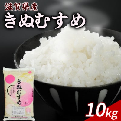 令和8年産 新米 きぬむすめ 10kg 【滋賀でとれたお米、近江米!】