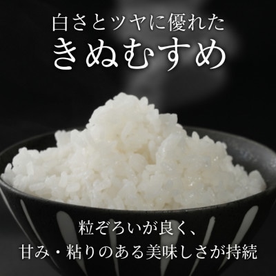 令和8年産 新米 きぬむすめ 10kg 【滋賀でとれたお米、近江米!】