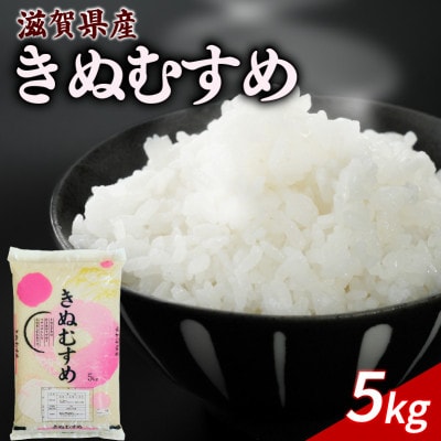 令和8年産 新米 きぬむすめ 5kg 【滋賀でとれたお米、近江米!】