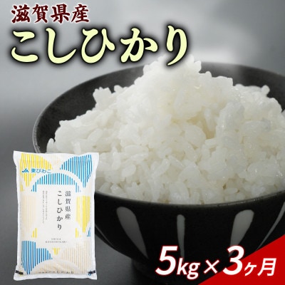 【毎月定期便】こしひかり 5kg 【滋賀でとれたお米、近江米!】全3回