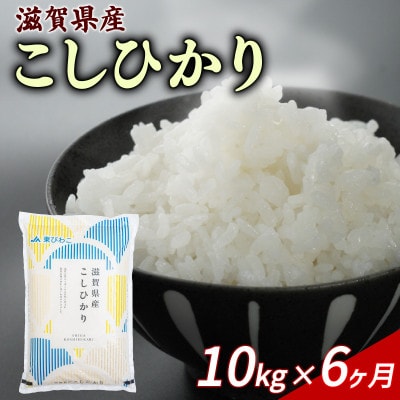 【毎月定期便】こしひかり 10kg 【滋賀でとれたお米、近江米!】全6回