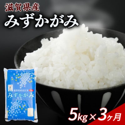【毎月定期便】みずかがみ 5kg 【滋賀でとれたお米、近江米!】全3回