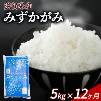 【毎月定期便】みずかがみ 5kg 【滋賀でとれたお米、近江米!】全12回