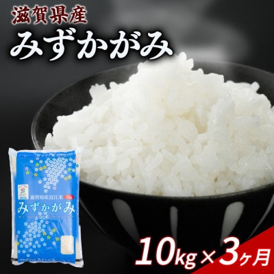 【毎月定期便】みずかがみ 10kg 【滋賀でとれたお米、近江米!】全3回