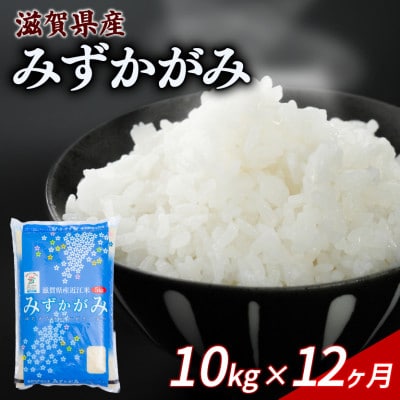 【毎月定期便】みずかがみ 10kg 【滋賀でとれたお米、近江米!】全12回