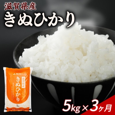 【毎月定期便】きぬひかり 5kg 【滋賀でとれたお米、近江米!】全3回