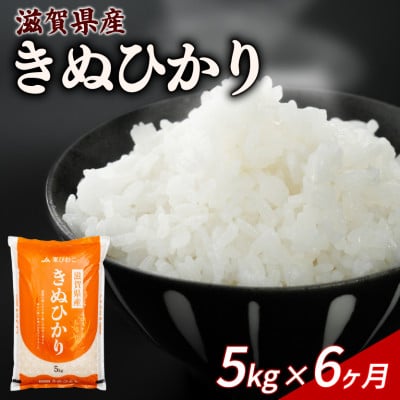 【毎月定期便】きぬひかり 5kg 【滋賀でとれたお米、近江米!】全6回
