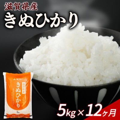 【毎月定期便】きぬひかり 5kg 【滋賀でとれたお米、近江米!】全12回