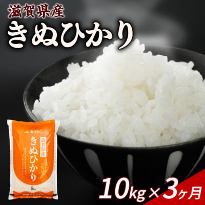 【毎月定期便】きぬひかり 10kg 【滋賀でとれたお米、近江米!】全3回