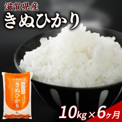 【毎月定期便】きぬひかり 10kg 【滋賀でとれたお米、近江米!】全6回