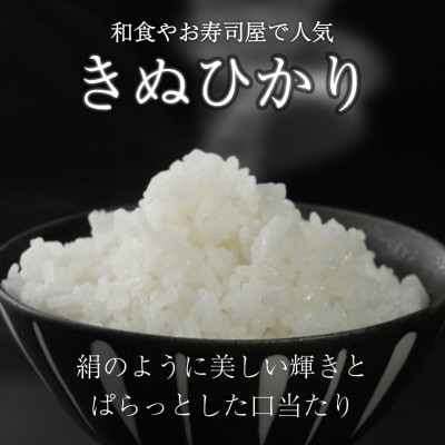 【毎月定期便】きぬひかり 10kg 【滋賀でとれたお米、近江米!】全12回