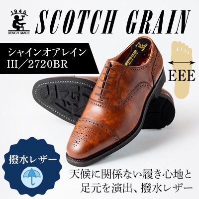 スコッチグレイン「シャインオアレインIII」 No.2720 ブラウン 25.0cm EEE 紳士靴