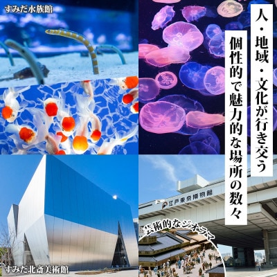 【東京ツアー】墨田区 後から選べる旅行Webカタログで使える! 旅行クーポン(60,000円分)