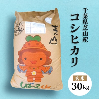 【令和6年産】芝山町産コシヒカリ30kg(玄米)