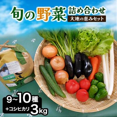 旬野菜の詰め合わせ　「大地の恵みセット」9～10種+コシヒカリ3kg【令和6年産 】