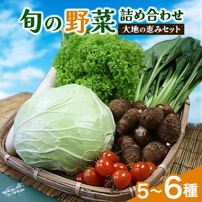 【空の駅 風和里しばやま】旬野菜の詰め合わせ「大地の恵みセット」5～6種