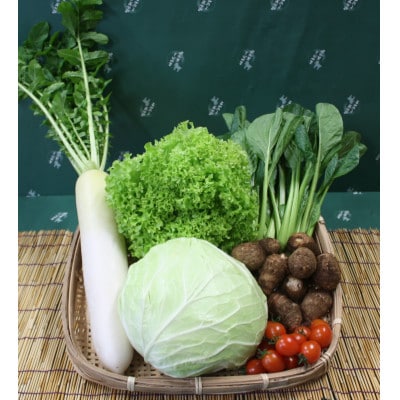 【空の駅 風和里しばやま】旬野菜の詰め合わせ「大地の恵みセット」5～6種