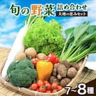 【空の駅 風和里しばやま】旬野菜の詰め合わせ「大地の恵みセット」7～8種