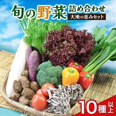 旬野菜の詰め合わせ　「大地の恵みセット」　10種以上