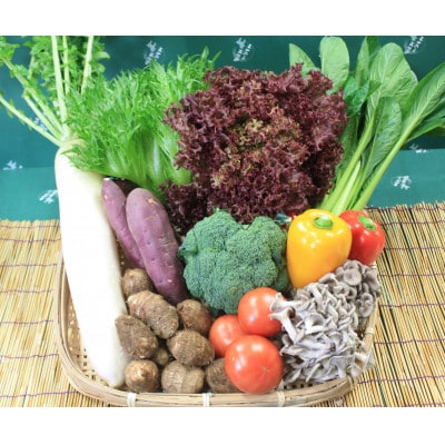 野菜セット「大地の恵みセット」10～12種+コシヒカリ10kg【令和6年産】 +古代米バウムクーヘン