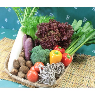 野菜セット「大地の恵みセット」10～12種+コシヒカリ10kg【令和6年産】 +古代米バウムクーヘン