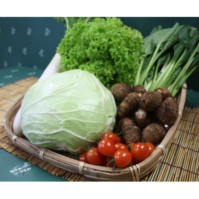 野菜セット 「大地の恵みセット」6～7種 +古代米バウムクーヘン