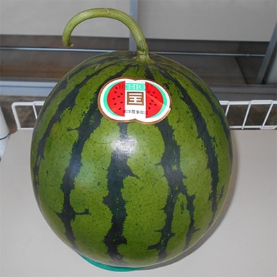 大玉スイカ(2L～)1玉